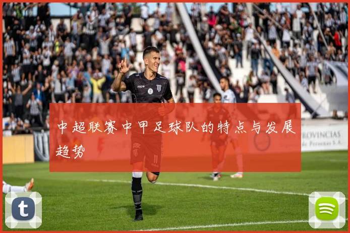 中超联赛中甲足球队的特点与发展趋势