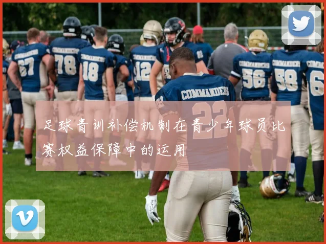 足球青训补偿机制在青少年球员比赛权益保障中的运用